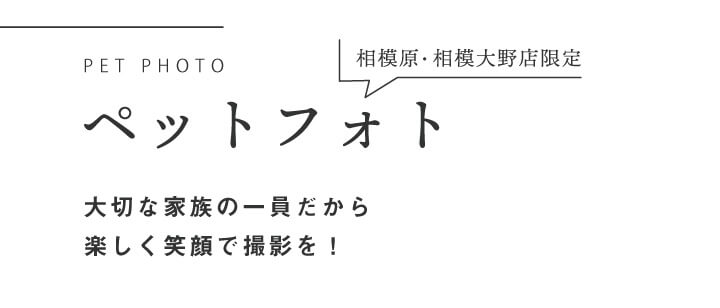 251216【ka振袖サイト】撮影ページ_028